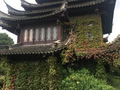 -韩湘水博园