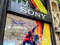 -Sony Store 索尼(上海淮海中路店)