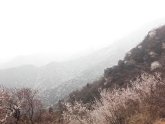 -北京鹫峰国家森林公园
