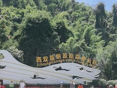 -西双版纳原始森林公园