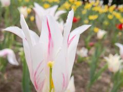 -长春公园(普阳街道)