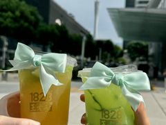 -1828王老吉·草本新茶(珠江新城地铁站店)