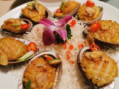 鮑魚-金苑海鲜酒家(来魅力店)