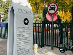 -三里屯东五街银杏大道
