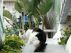 -小时光咖啡馆(北锣鼓巷店)