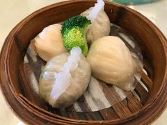 -外沙疍家棚酒楼