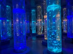 -梦幻海洋王国(吾悦广场张家港店)
