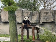 -上海野生动物园