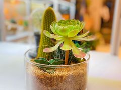 -PlantsEatery·植物食堂(REX春熙店)