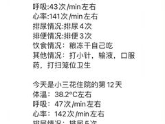 -瑞派雷欧宠物医院·24h夜诊·心脏骨科牙科·全科重症转诊中心(无影山店)