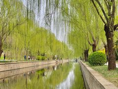 -元大都城垣遗址公园