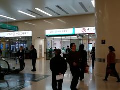 -中国人民解放军总医院(301医院)