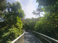 -仙岳公园