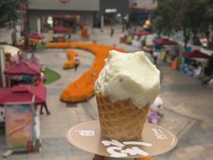 -野人先生现做冰淇淋(北京顺义祥云小镇店)