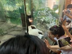 -柳州市动物园