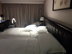 -青岛西海岸隆和福朋喜来登酒店