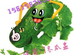 -悦富门冬瓜盅(新业广场店)