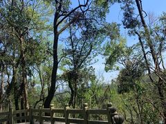 -岳麓山风景名胜区