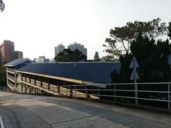 -香港大学