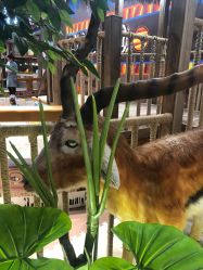-鲁比猴非洲探索部落(喜盈门店)