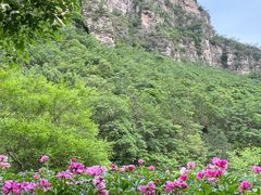 -孤山寨风景区