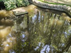 -林间山庄
