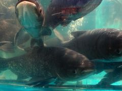 -魏铭鱼头捞饭(晋阳路店)