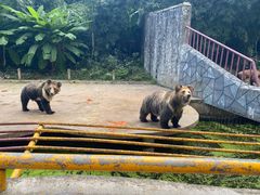 -贵州森林野生动物园