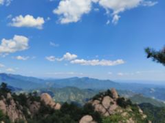 -六里坪国家森林公园