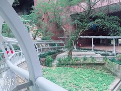 -香港大学
