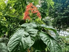 -石家庄市植物园
