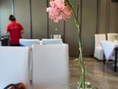 -凯鸽酒楼(操场城店)