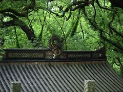 -普陀山风景名胜区-法雨禅寺