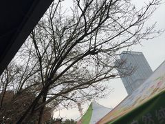 -久宴·天目湖大鱼头(恐龙园店)