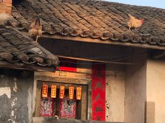 -苏家围·东江画廊旅游景区