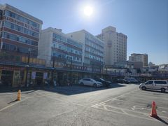 -新疆红山干果市场
