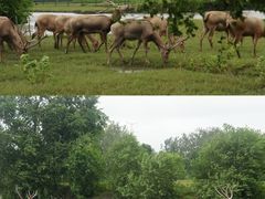 -溱湖国家湿地公园