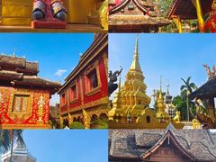 -西双版纳傣族园