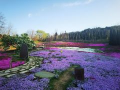 -棒棰岛宾馆景区