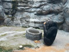 -鄂尔多斯野生动物园