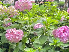 -常州古运河南大街文化旅游区-人民公园