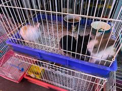 -盐城大有境(解放南路店)