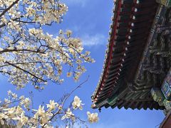 -红螺寺