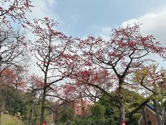 -广州中山纪念堂