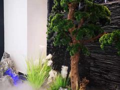 景观位-大榕树下顺德菜(融创茂店)