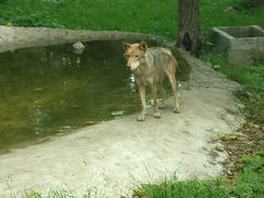 -西安秦岭野生动物园