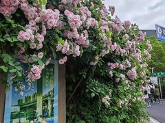 -无锡师范学校附属小学(学前街校区)