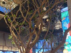 -桂满陇·海市蜃楼·黑金(国金店)