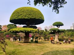-南宁南湖公园