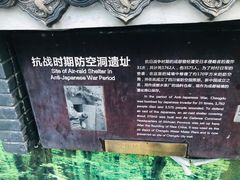 -泡桐树街